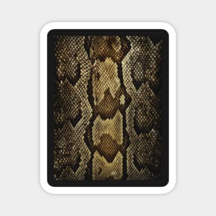 Snake skin Magnet