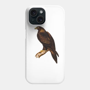 Wedge-tailed Eagle Vintage Illustration Phone Case