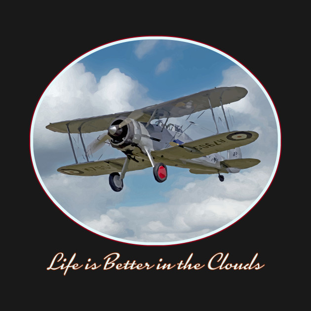 Disover Vintage Biplane - Cool retro plane "Life is Better in the Clouds" - Biplane - T-Shirt