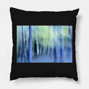 dreamscape Pillow