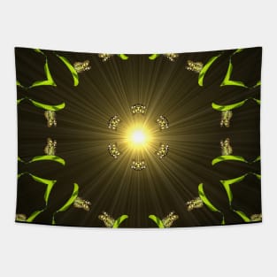 Butterflies and sun Tapestry