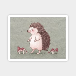 Cute Hedgehog Magnet