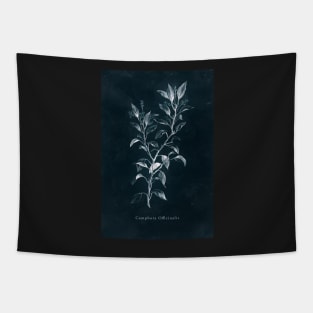 Cyanotype - Camphora Officinalis Tapestry