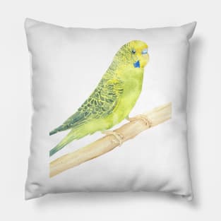 green and yellow budgie watercolor portrait Pillow