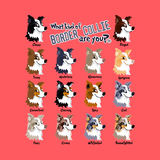 Border Collie Colors by DoggyGraphics