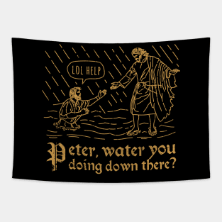 Peter Water You Doing Down There Funny Christian Tshirt Tapestry