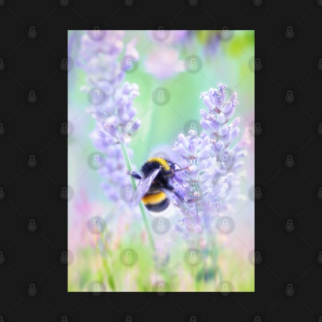 Summer Meadow Bumble Bee by Amanda Jane