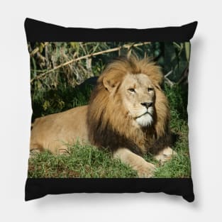 King Of The Jungle Pillow