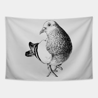 Feral Pigeon Animal Portrait Tapestry