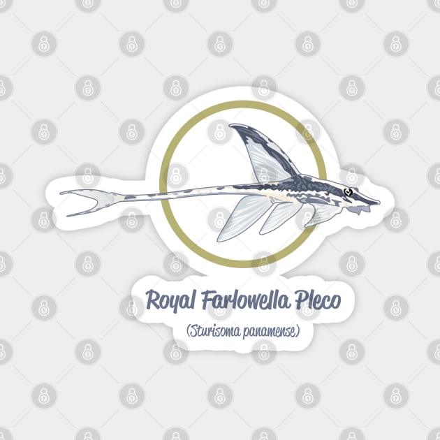 Royal Farlowella Pleco Magnet by Reefhorse