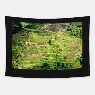 Rizières en terrasses Banaue, Philippines Tapestry