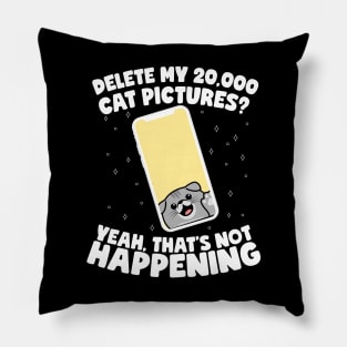 Delete My 20,000 Cat Pictures Pillow