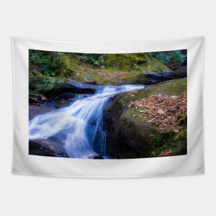 Roaring Fork Creek Falls Tapestry