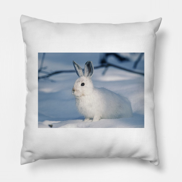 White Rabbit In The Snow In The Winter White Rabbit Pillow
