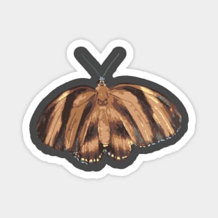 Orange Butterfly Magnet