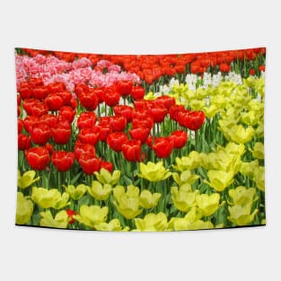 Keukenhof Tulip Festival, Holland Tapestry