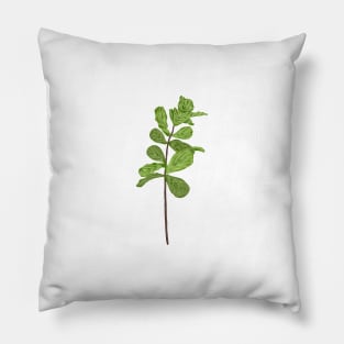 Fiddle Fig Botanical Pillow