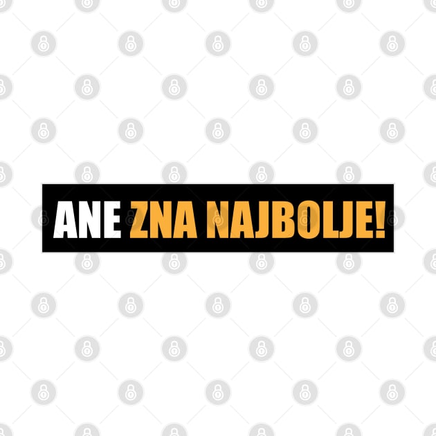 Ane zna najbolje! by Marina Curic