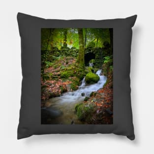 Lake District Waterfall Pillow