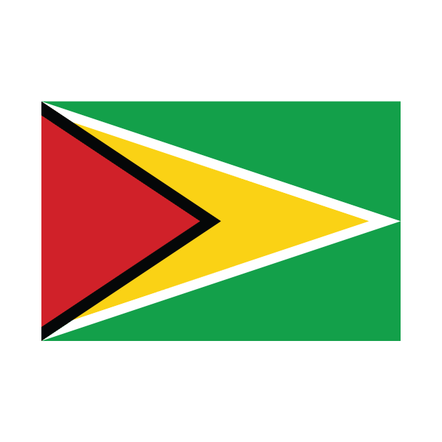 Guyana National Flag by IslandConcepts