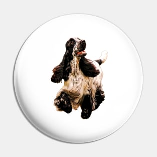 Cocker Spaniel on a merry dog walk Pin