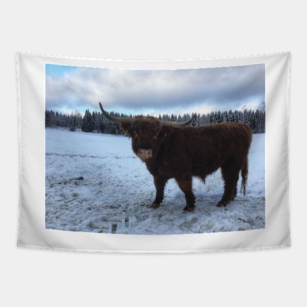 Scottish Highland Cattle Bull 1913 Tapestry by SaarelaHighland