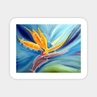 strelitzia house plan Magnet