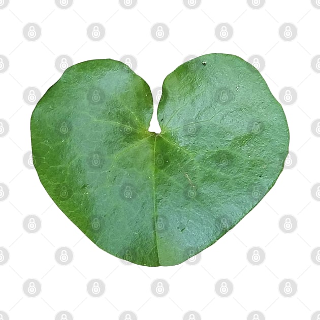 Wild Ginger Leaf Heart Shape by DesignMore21