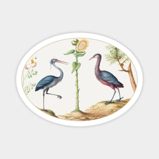 Two Herons with a Sunflower (1575–1580) Magnet