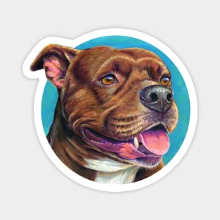 Staffordshire Bull Terrrier Magnet