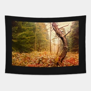 The Autumn Dancing Pine Tapestry