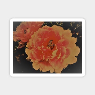 peony, House of Harlequin Magnet