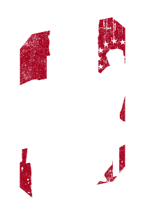 Dario Magnet