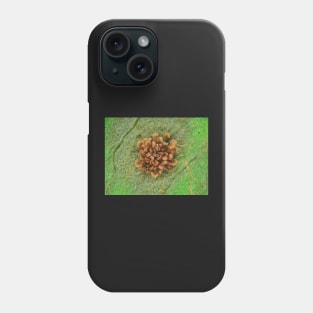 Fern sorus under the microscope Phone Case