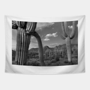 Saguaro Cacti Tucson Mountains Tapestry