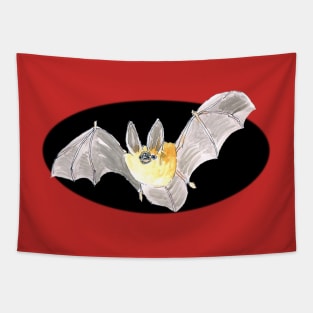 Bat outta Hell!...:o) Tapestry