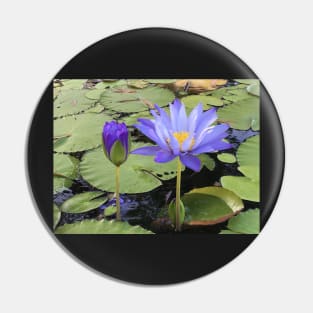 "Water Lillies" Pin