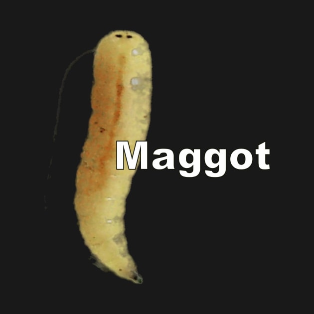 Maggot by Stiffmiddlefinger