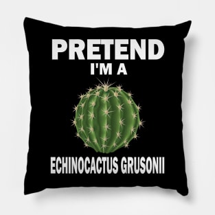 Pretend I'm A Echinocactus Grusonii Fun Lazy Easy Halloween Pillow