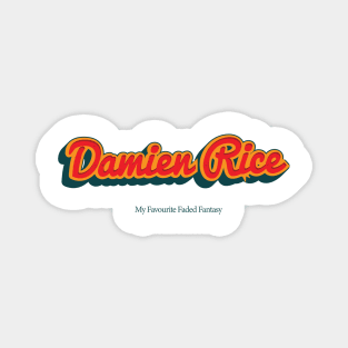 Damien Rice Magnet