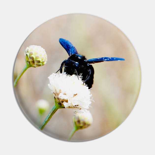 Blue Bee / Swiss Artwork Photography Pin by RaphaelWolf