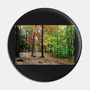 Mountain trail in the forest Pin