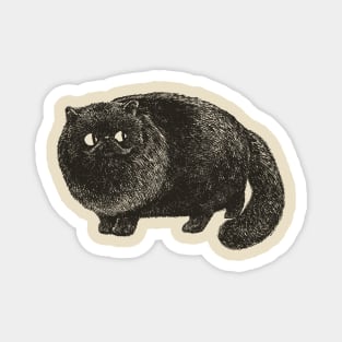 Black Cat Cat Magnet