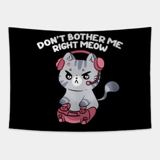 Bother Me Right , Video and Cat Tapestry