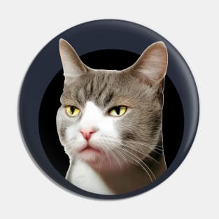 Sarcastic, indifferent cat...so, what? Pin