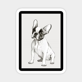 French Bulldog Sketch Magnet