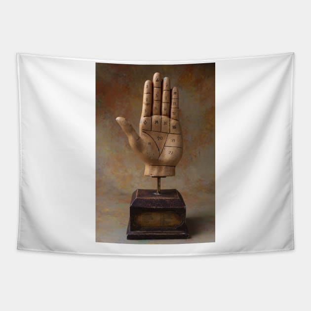 Rascette Palm Reading Hand Tapestry by photogarry