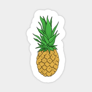 Pineapple hand drawn fruits summer Magnet