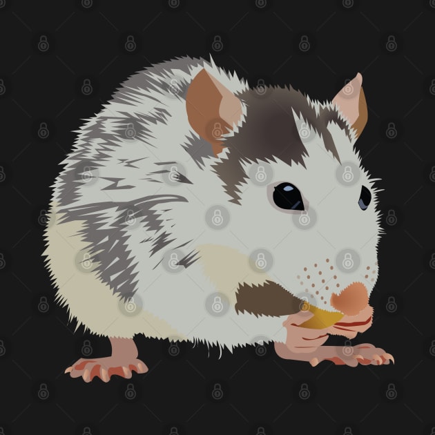 Cute Rat Eating a Snack by KCPetPortraits