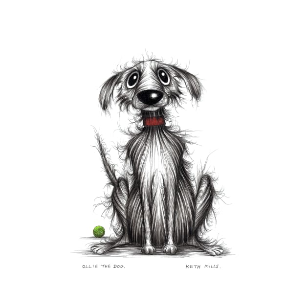 Ollie the dog by Keith Mills